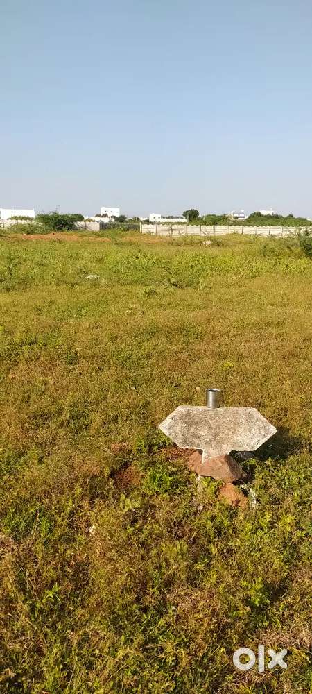 North-Facing 3.1 Cent Plot for Sale in Kurnool – Great Investment!