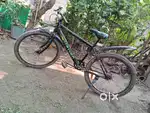 Stryder 24T normal bicycle