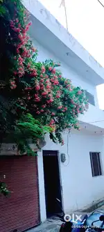 Alamnagar Shila Garden Road Rajajipuram