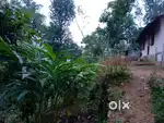 ഒരേക്കർ സ്‌ഥലവും ചെറിയ വീടും ഇടുക്കി നാരകക്കാനം എലകൃഷിക്കൂ യോജിച്ചത്