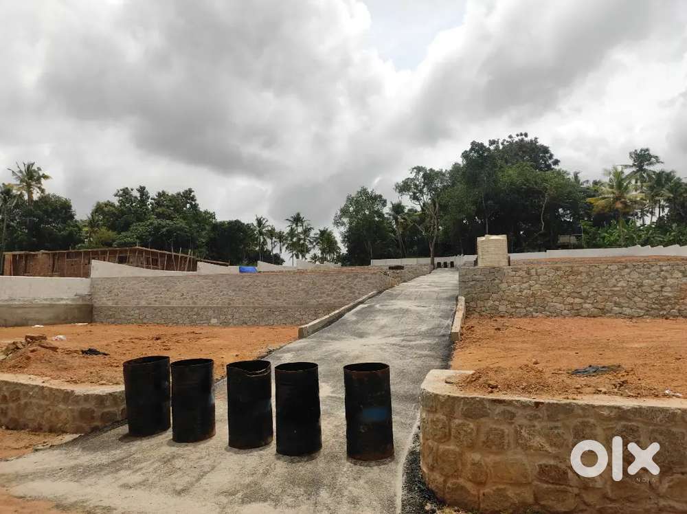 Sreekaryam chempazhanthy