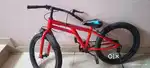 8 year old boy cycle