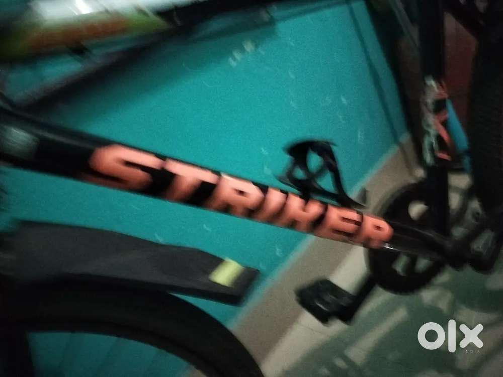 Gang cycle