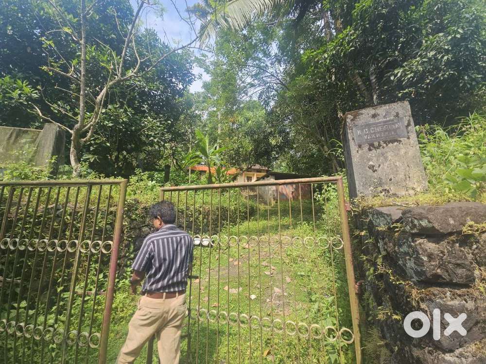 48 cent plot for sale in Narakathani near Vennikulam