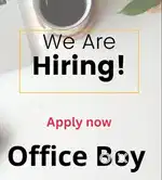 Office Boy - Male Only