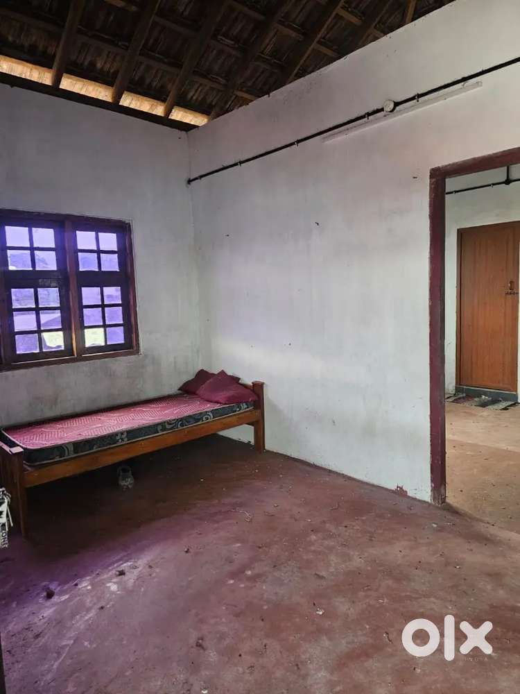 15 perkk. Thamsiilanulla soukryam