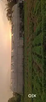 A poly house for sell