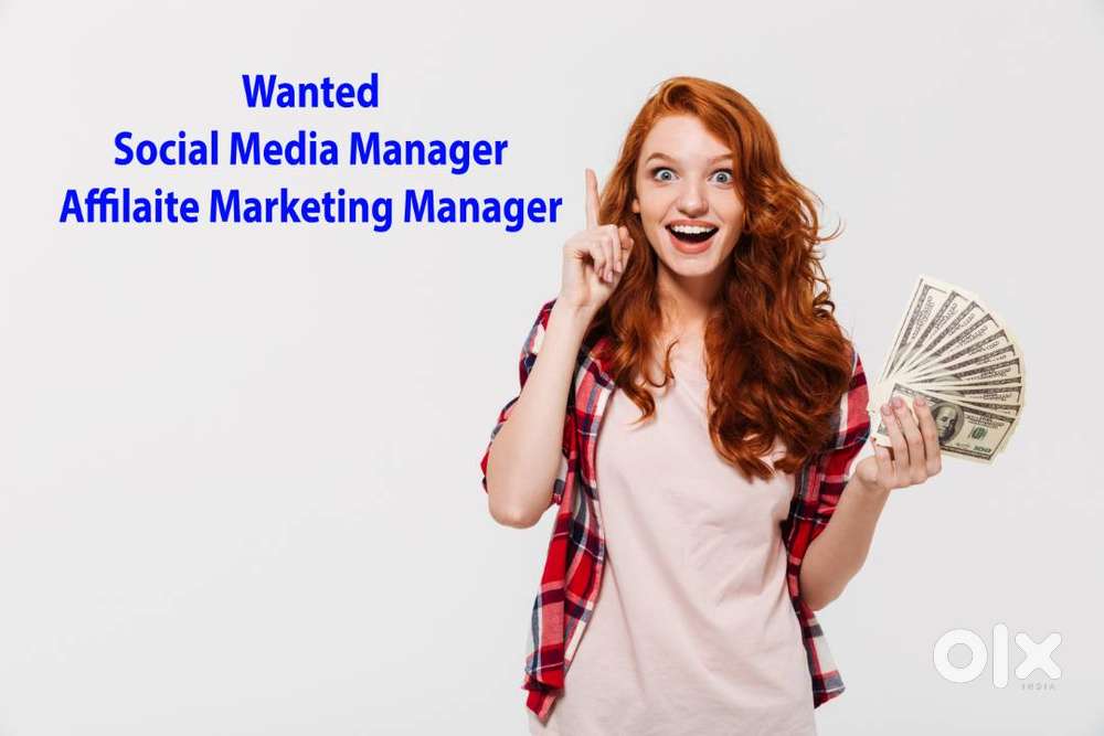 Wanted Online Marketing Manager for a Startup Website
