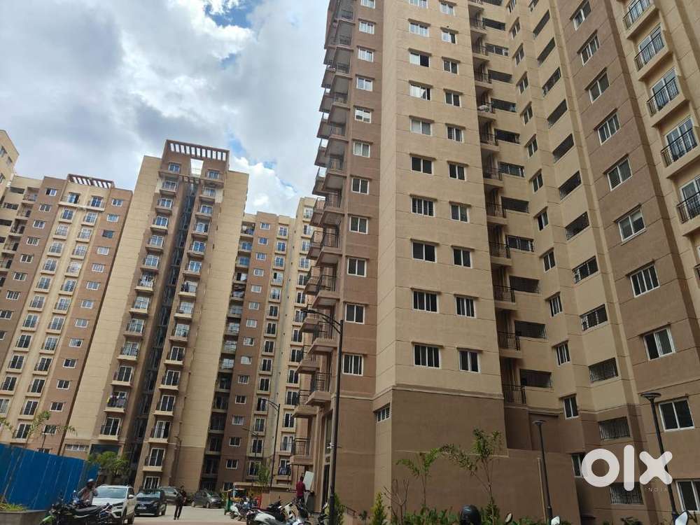 Luxury life with all amentation