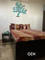 SINGLE BED + MATTRESS (4*6)