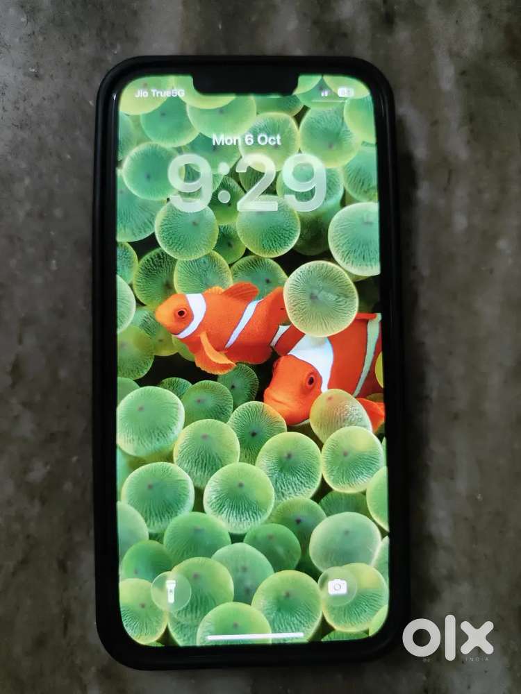 i phone 13