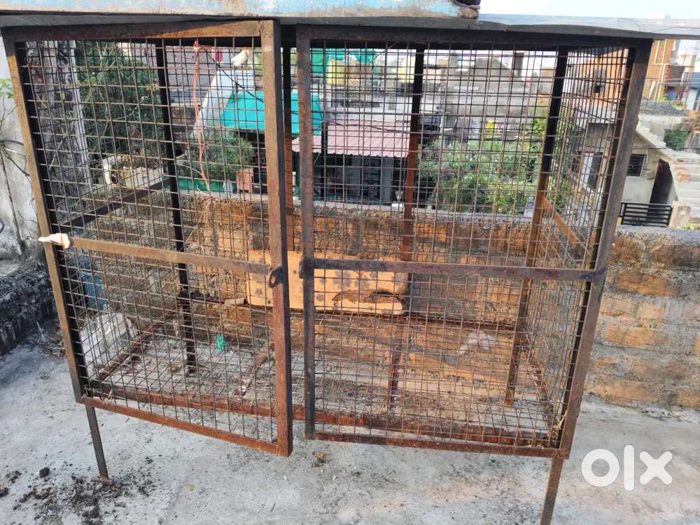 Dog big cage