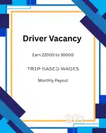 Professional Driver