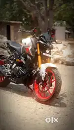 09/2023 brand new condition