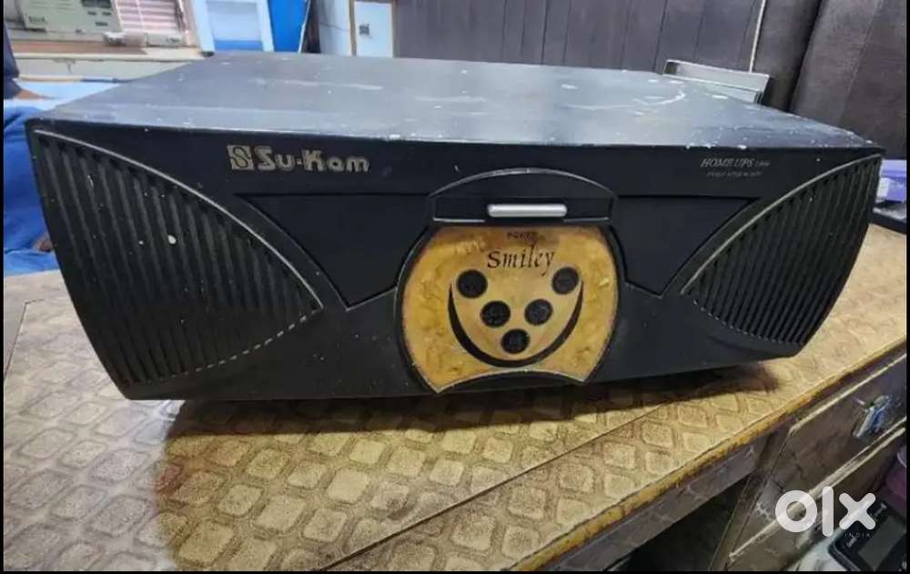 24 volt inverter