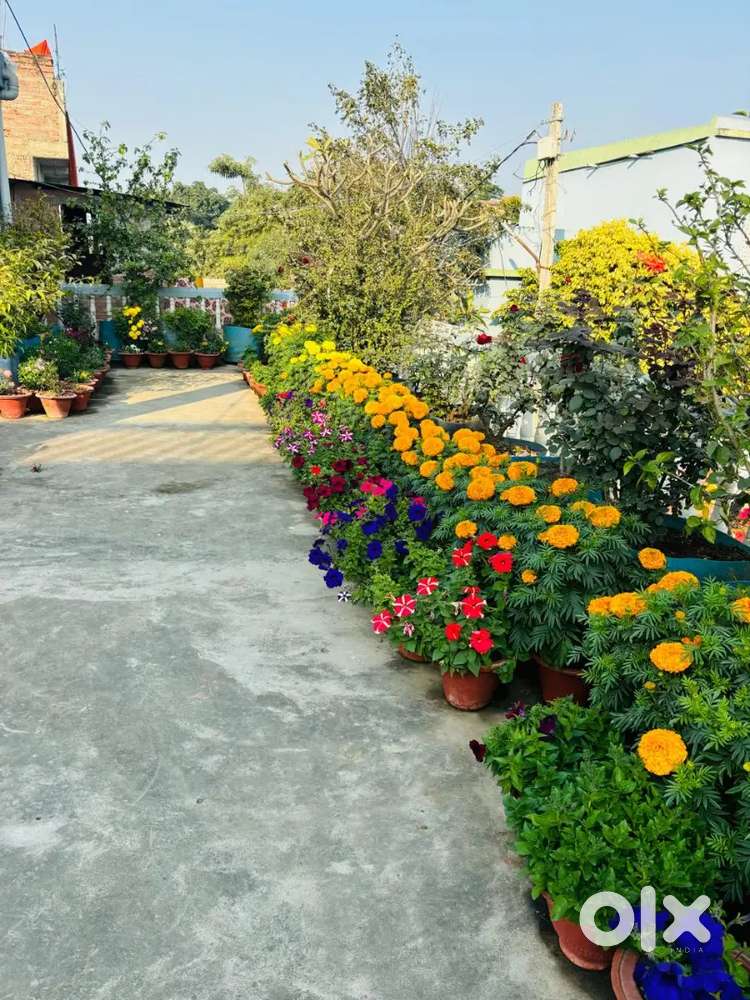 I want to rent my house rent