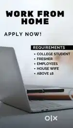 Work from home job available