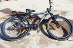 Gang company cycle