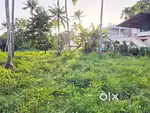 8Cent Purayidam Land Thathappilly Main Road Frontage Varapuzha