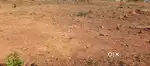 Agricultural land 1 acre for sale