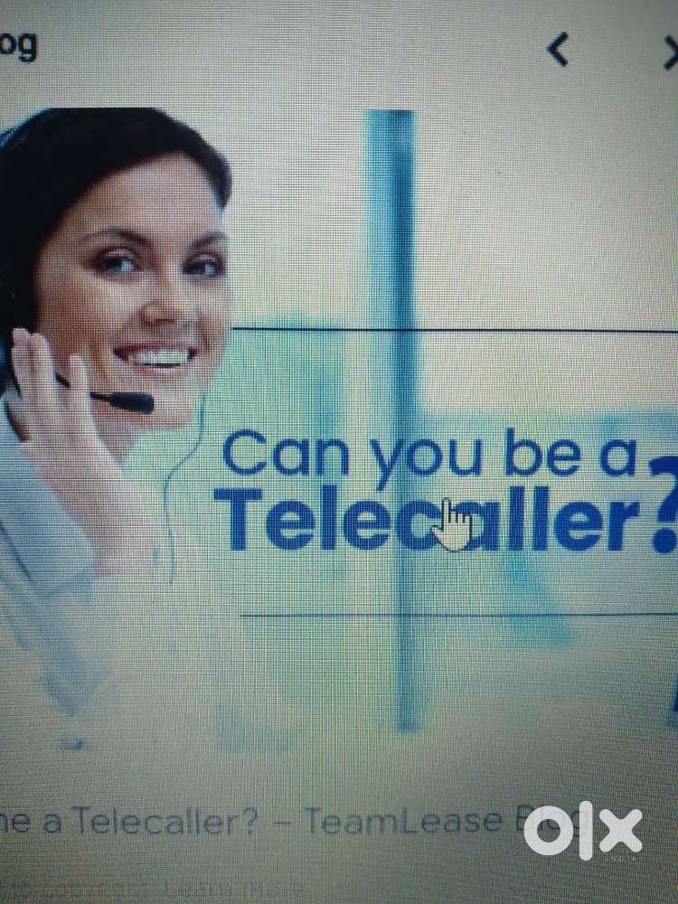 Collection Executive