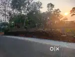 90 cent land for sale near Kolenchery, at Ooramana. PWD road front