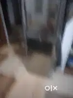 Samsang frrege