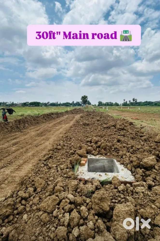 Best investment plot