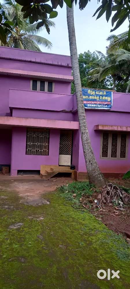 House for rent