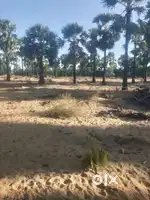 Land Near Beach