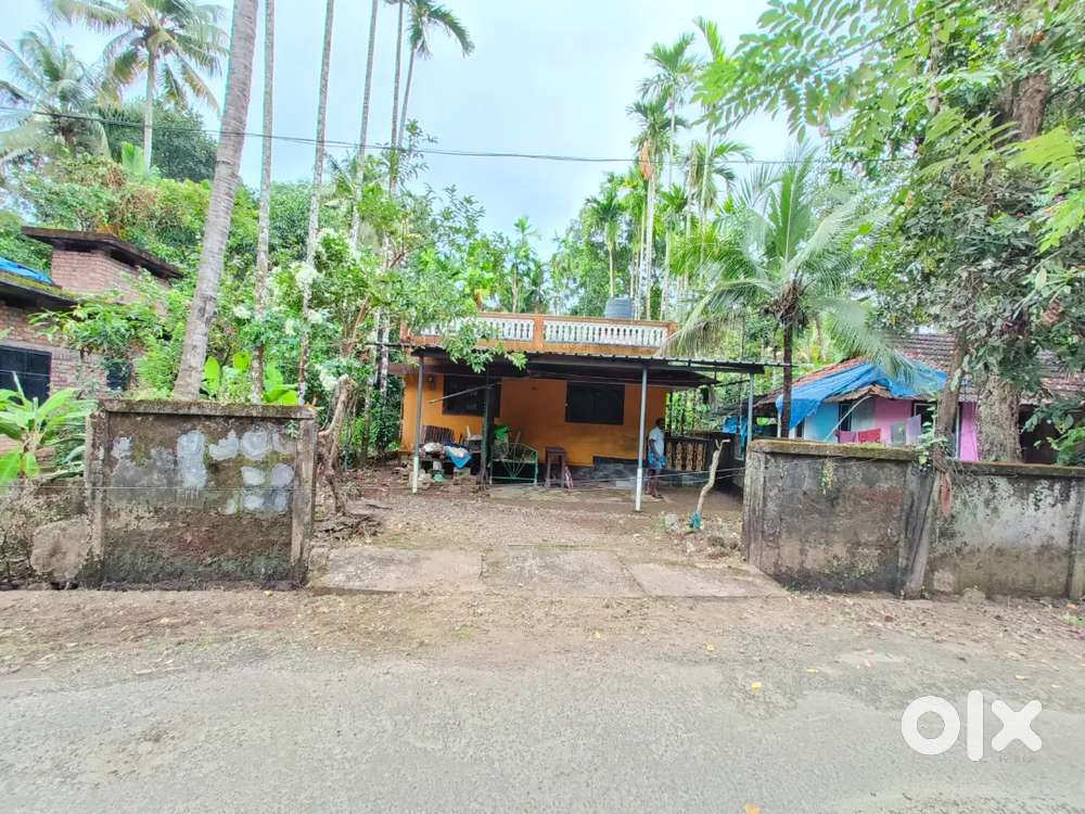 A house & plot for sale