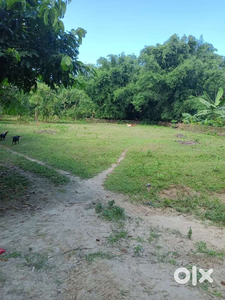 A good plot for residential purpose