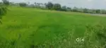 4 acre farm lands sale in kilpennathur thiruvannamalai