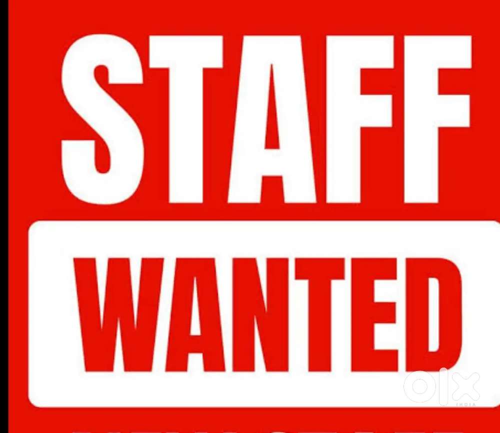 Wanted office staff male