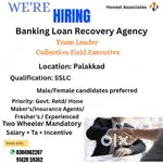 Team leader and collection executive
