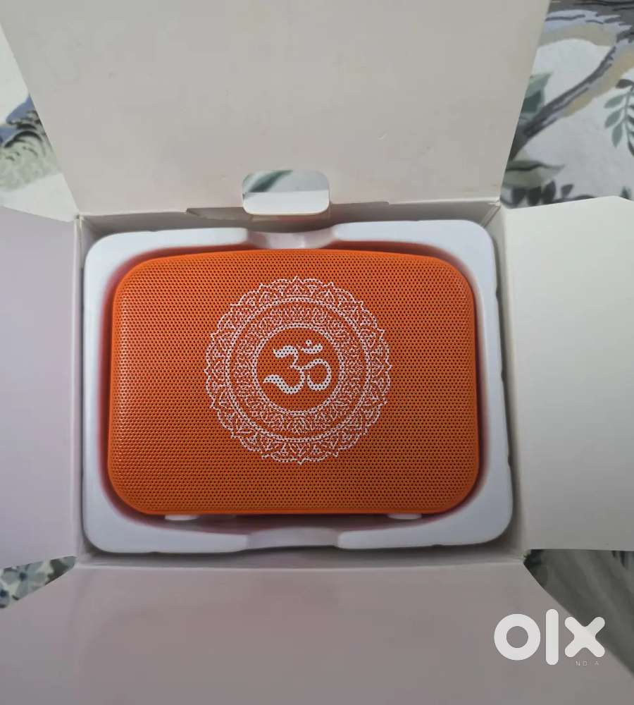 Saregama Carvaan Mini (bhakti)