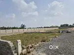 PLOT FOR SALE IN PRATHUR APCRDA APROVEL