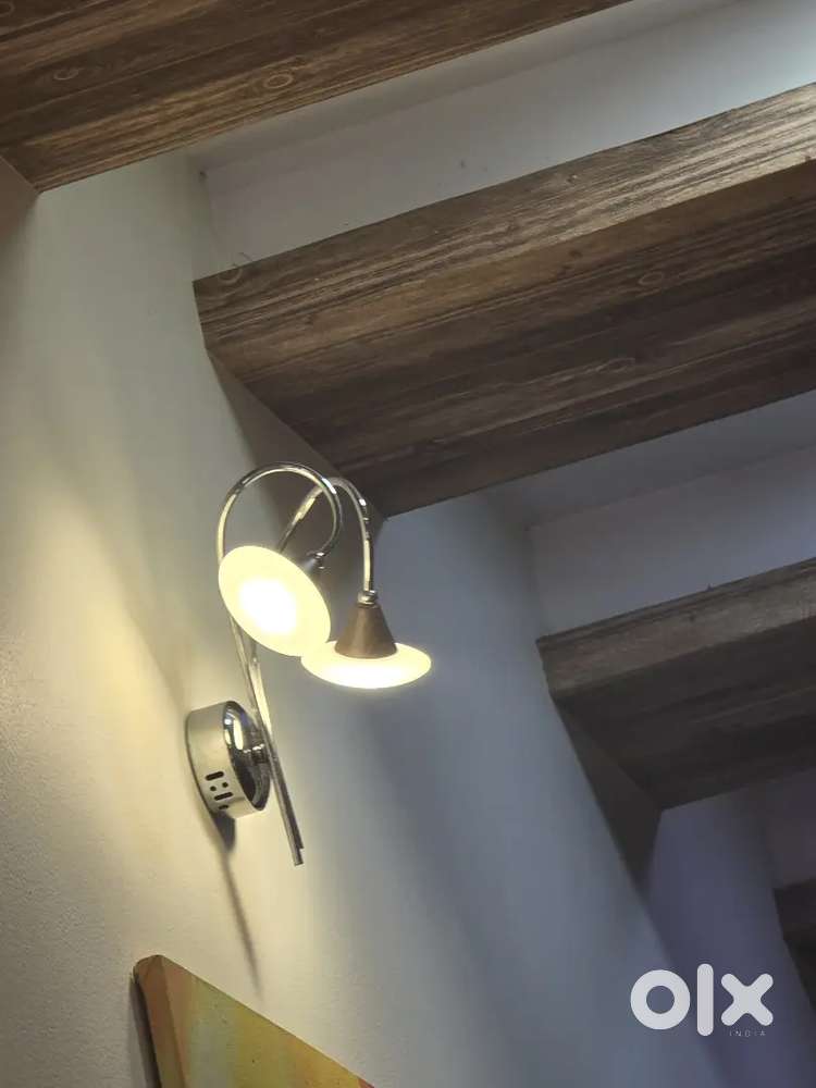 Decorative light