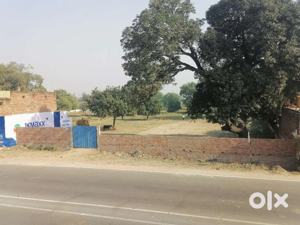 20 Biswa Main Road Facing Plot for Sale