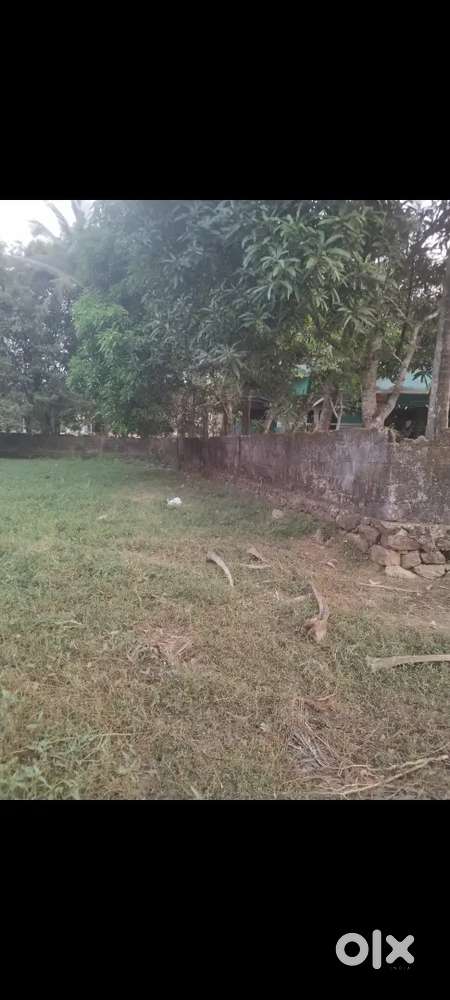 PATTAMBI PLOT for reasonable price