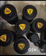 Gym Equipment | Squat Rack | Barbell | Flat Bench | Dumbell | Plate
