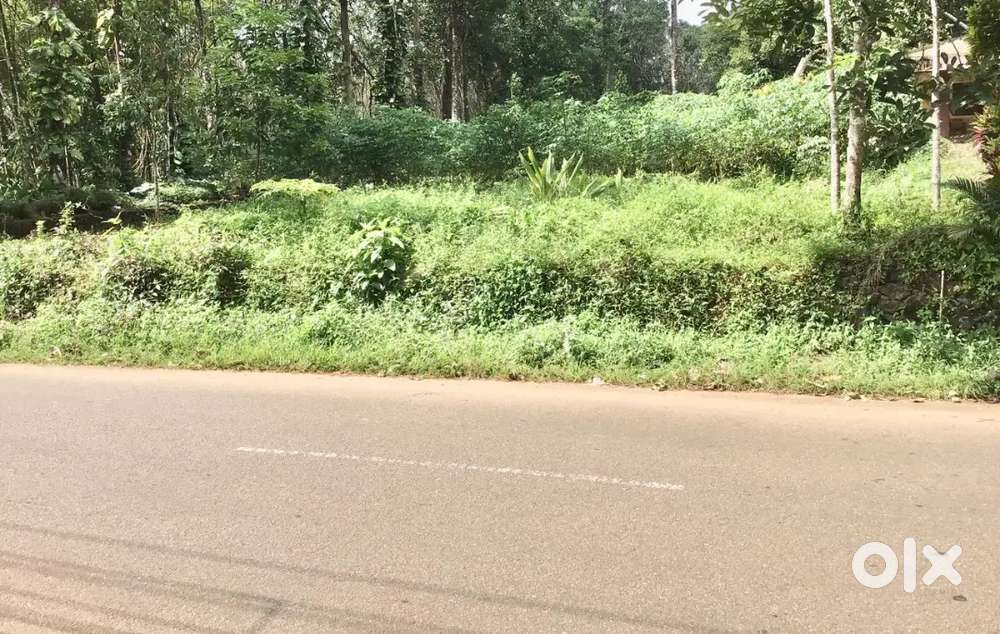 HOUSE/SHOP PLOT FOR SALE AT PALA-KANJIRAMATTOM