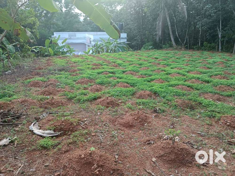 15 cent house plot sale in kuravilangad