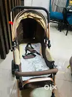 Star & Daisy Stroller