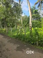 Plot for sale