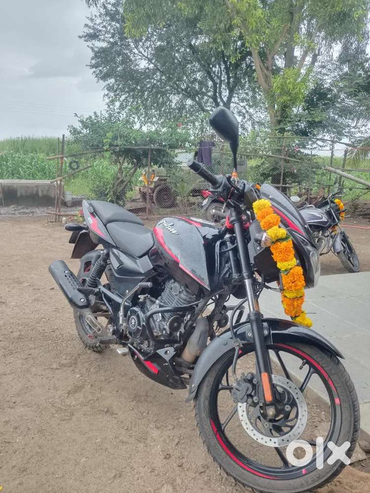 Pulser 125
