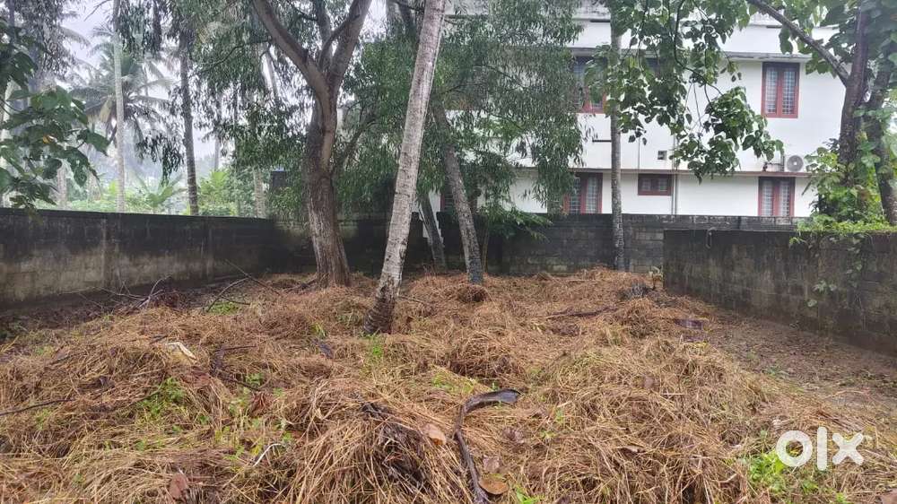 6.5 cent L shape land for sale