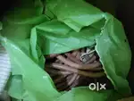 Water pipe