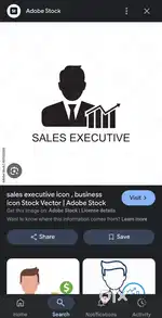 Sales Executive