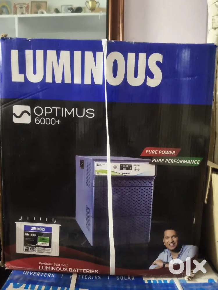 Luminous Inverter and Batteries